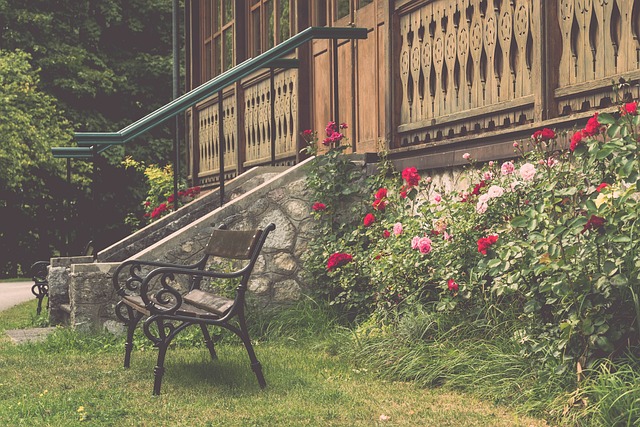 的胜利不仅 的胜利不仅