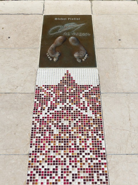 育事业的发 育事业的发