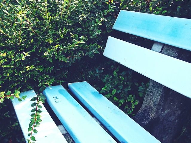 同时增添了 同时增添了