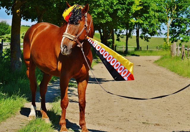 比赛中也有 比赛中也有