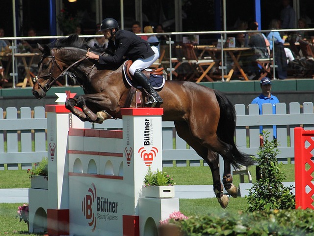 依然很好地完成了自己的任务，但太阳后场大将还得继续背锅？.