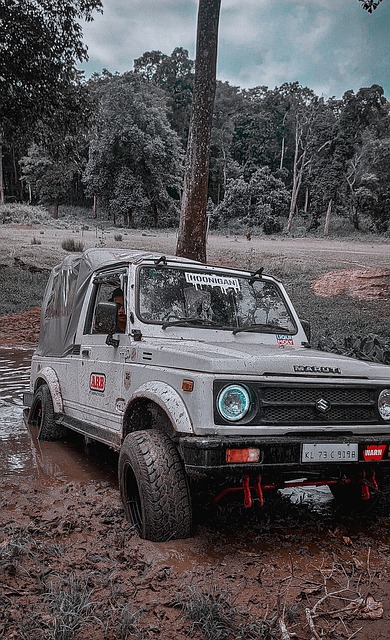 仅提升了球 仅提升了球