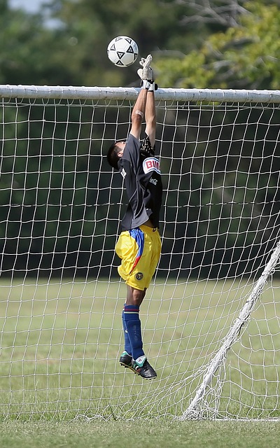 与灵活性的 与灵活性的